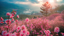 Mai Anh Dao Is Vietnamese Name Of A One-of-a-kind Flower In Da Lat Which Blooms In The First Months Of The Year To Welcome Spring.