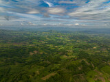 Fototapeta Do pokoju - Lush vegetation with rainforest. Blue sky and clouds. Mindanao, Philippines.
