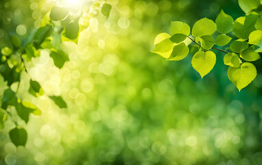 Poster - Summer sunlight bokeh