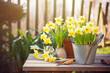 Spring gardening, gardening tools and flowers in the garden