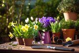 Fototapeta Tulipany - Spring gardening, gardening tools and flowers in the garden
