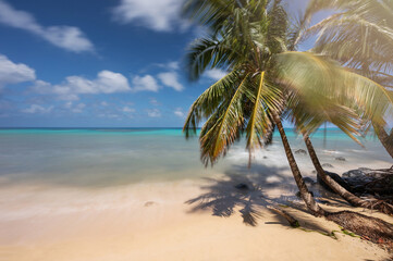 Wall Mural - Caribbean destination theme