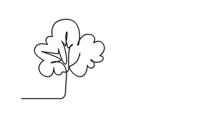 Wall Mural - Pink Tree outline self drawing animation. Black line animated on white background.	