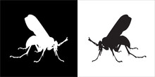 Illustration Vector Graphics Of Insect Icon