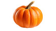 © CStock - Pumpkin isolated on transparent and white background.PNG image