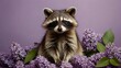 a small raccoon on a lilac background. place for text, postcard