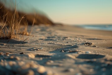 Poster - A serene sandy beach with visible footprints leading towards the calm ocean. Perfect for travel brochures or vacation-themed designs