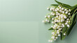 Kwiatowe zielone minimalistyczne tło na życzenia z okazji Dnia Kobiet, Dnia Matki, Dnia Babci, Urodzin czy pierwszego dnia wiosny. Szablon na baner lub mockup z gałązką przebiśniegów.