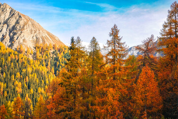 Poster - swiss national park, Parc Naziunal Svizzer, in autumn - engading, switzerland - rolling alps with orange green and red colours