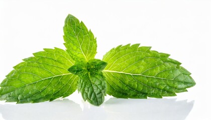 Sticker - green mint leaves isolated on a white background