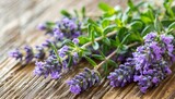 Fototapeta Lawenda - thyme with lavender