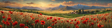 Bright Poppy Field With Bushes, Trees And Blue Sky Illustration