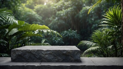 Empty stone podium with forest background . product display ideas