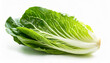 Fresh green cos lettuce leaf isolate on white background. Batavia salad. Side view.