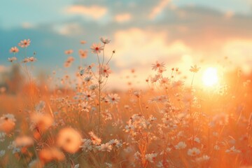 Aufkleber - A beautiful field of flowers with the sun setting in the background. Perfect for nature lovers and those seeking a peaceful and serene atmosphere