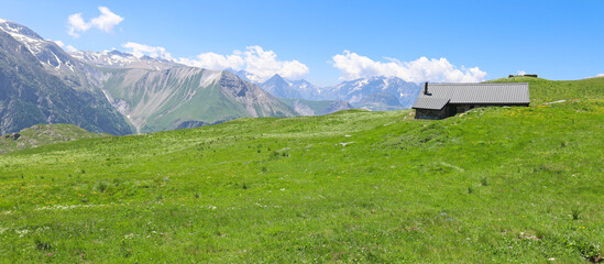 Wall Mural - chalet d'alpages au milieu d'une pelouse fleurie alpine sur le plateau d'Emparis dans les alpes au printemps