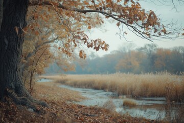 Aufkleber - A picturesque scene of a stream running through a field next to a tree. Suitable for nature or landscape themes