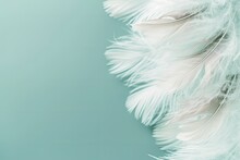 Soft Focus Fashion Color Trends For Spring Summer 2016 Pale Teal Blue Background With White Fluffy Feathers