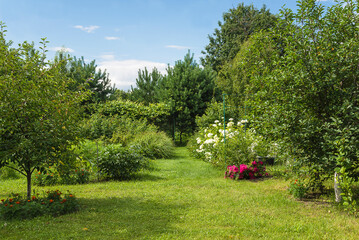 Sticker - Beautiful blooming summer garden on sunny day