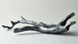 A Piece Silver Driftwood Branch Against a White Background Highlighting Natural Textures Metal Lying on the Ground