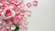 © Angel - Pétales de roses roses romantiques sur fond blanc. Posés à plat et vue de dessus avec un espace de copie