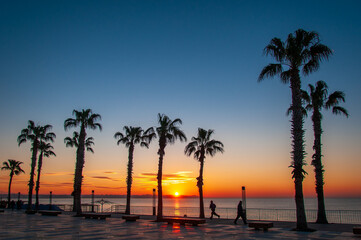 Wall Mural - Sunset on the beach among palm trees in Antalya.