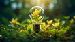 Idea of eco renewable energy and energy saving. Energy saving light bulb and tree growing on the ground on bokeh nature background. Saving, accounting and financial concept