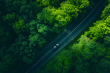 Fototapeta Uliczki - Amidst Natures Embrace: A Serene Journey Through the Enchanted Green Canopy