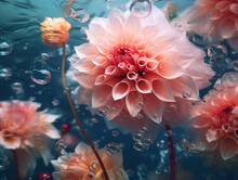 Dahlia Flowers Submerged In Water, Dreamy & Surrealist Underwater Garden, Pink And Blue