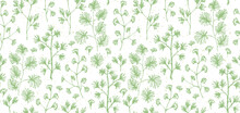 Delicate Pastel Green Seamless Pattern With Hand Drawn Botanical Elements. Sketch Ink Herbs And Branches With Leaves Texture For Textile, Wrapping Paper, Cover, Surface, Design