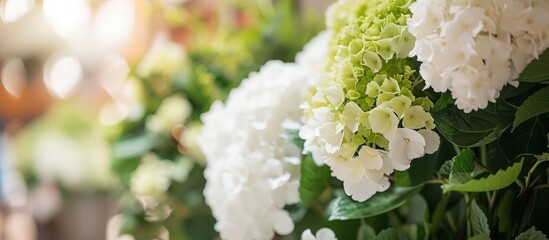 Wall Mural - close up shot of wedding flowers in a soft focus, featuring white hydrangea and green foliage in an 