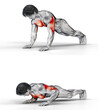 895 Side to Side Push up. 3D
 Anatomy of fitness and bodybuilding. An outstanding display of male muscles. Targeted muscles are red. No background. Png.