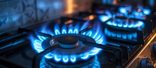 Wall Mural - Gas stove burning natural gas with blue flame, two low-key burners, long-exposure image with selective focus.