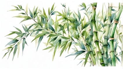 bamboo branche with your leaves water color illustration victorian