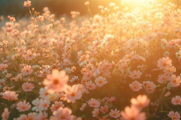 Wall Mural - stunning landscape of blooming flowers in summer meadow under bright sunlight showcasing beauty of n