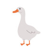 Cute goose. Hand drawn grey duck on farm. Domestic fowl. Vector illustration in flat cartoon style. Agriculture bird. Rural wildlife. Clipart for pattern, greeting card and childish design.