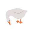 Cute farm goose. Domestic duck on white background. Agriculture bird. Village wildlife. Perfect for logo, greeting card and wrapping paper. Vector illustration in flat cartoon style.