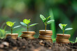 pennies that grow flowers, concept business in grow, cultivating financial growth and opportunities