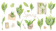 Hand Drawn Watercolor Of Lily Of The Valley Clipart Set