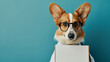 Welsh Corgi dog dressed as a vet doctor with glasses, holding a blank sign mock-up on blue background with copy space for text, template for veterinary clinic message or pet health and care advice
