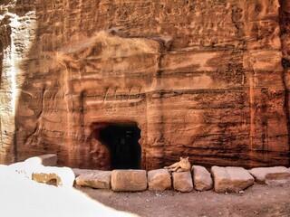 Wall Mural - Petra, Jordan