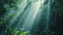 Light Rain In A Dense Tropical Forest With Sun Rays Illuminating The Vibrant Green Leaves And Serene Atmosphere