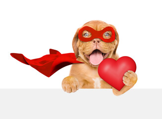 Sticker - Lovely jack russell terrier puppy wearing superhero costume holding red heart above empty white banner. Isolated on white background