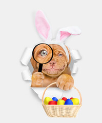Aufkleber - Happy Mastiff puppy wearing easter rabbits ears looks thru a magnifying lens looks through a hole in white paper and holds basket of painted easter eggs