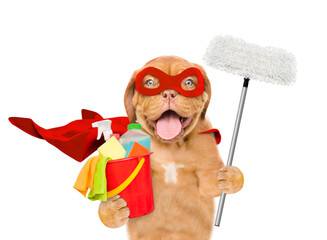 Poster - Funny Mastiff puppy wearing superhero costume holds the mop and bucket with washing fluids. Isolated on white background
