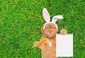 Poster - Smiling Mastiff puppy wearing easter rabbits ears holds carrot and shows empty notepad and lies on its back on summer green grass. Top down view. Empty space for text