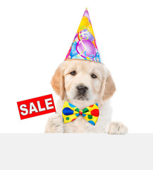 Poster - Golden retriever puppy wearing party cap shows signboard with labeled 