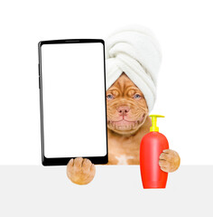 Aufkleber - Mastiff puppy with towel on it head holds bottle of fleas shampoo and big smartphone with white blank screen in it paw. isolated on white background