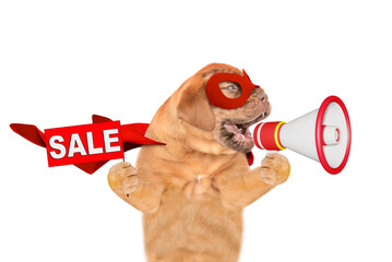 Poster - Funny Mastiff puppy wearing superhero costume barking into the megaphone and showing signboard with labeled 