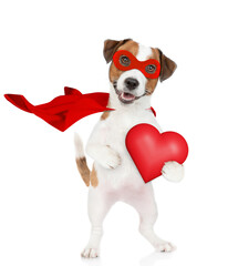 Fototapete - Funny jack russell terrier puppy wearing superhero costume holding red heart and looking away on empty space. Isolated on white background